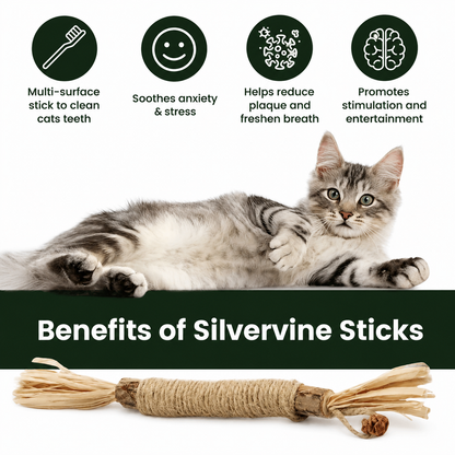 Lunira™ Natural Silvervine Dental Sticks - One Stick. Cleaner Teeth. Calmer Cat. Healthier Life.